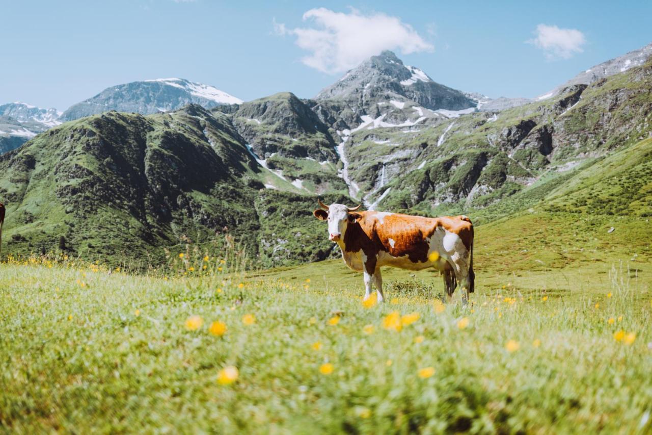 Tauernlife * Schwarzach im Pongau