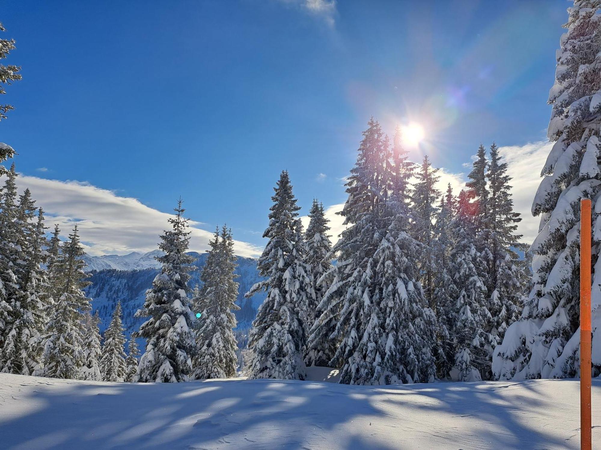 Tauernlife Schwarzach im Pongau